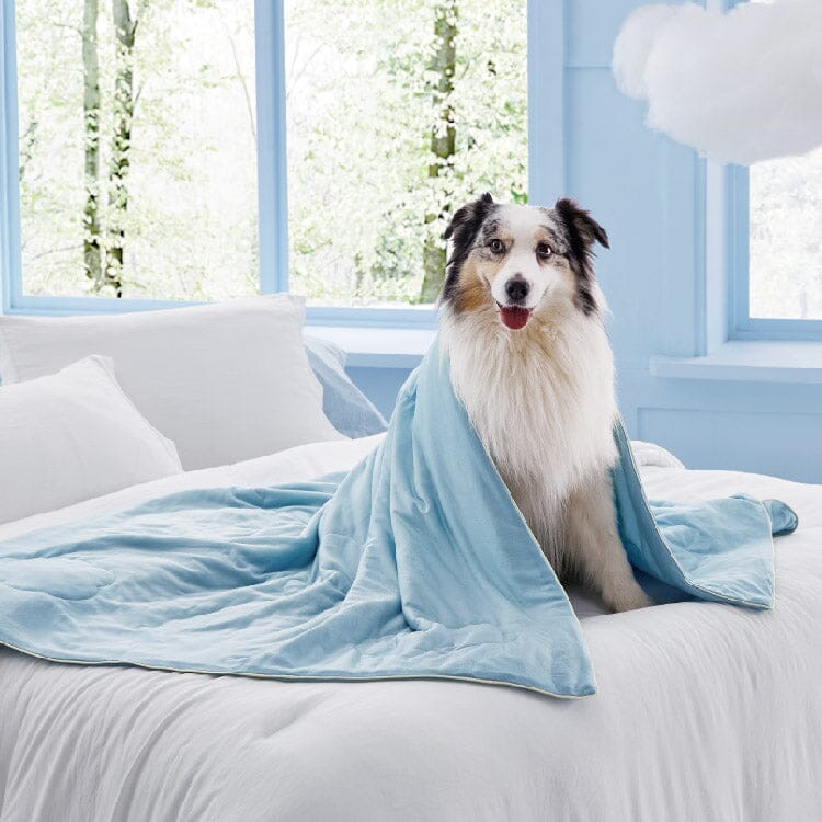 Lomelys Cooling Blanket for Cat/Dog