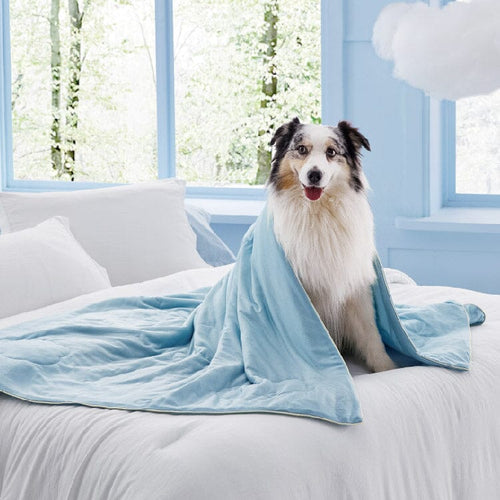 Lomelys Cooling Blanket for Cat/Dog