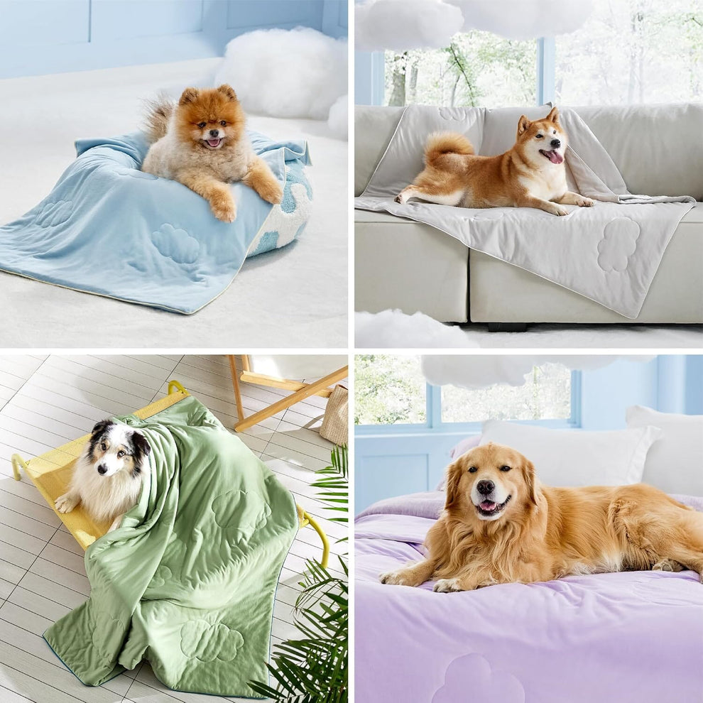 Lomelys Cooling Blanket for Cat/Dog